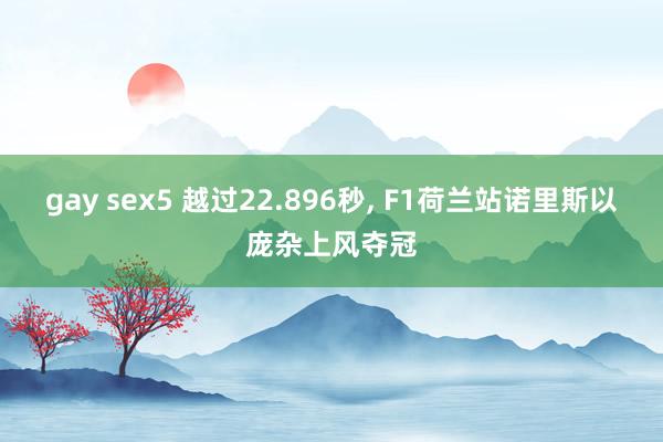 gay sex5 越过22.896秒, F1荷兰站诺里斯以庞杂上风夺冠